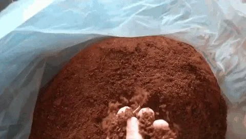 Pó de Coco direto do CE | Aracaju/SE em Aracaju, SE — foto 2