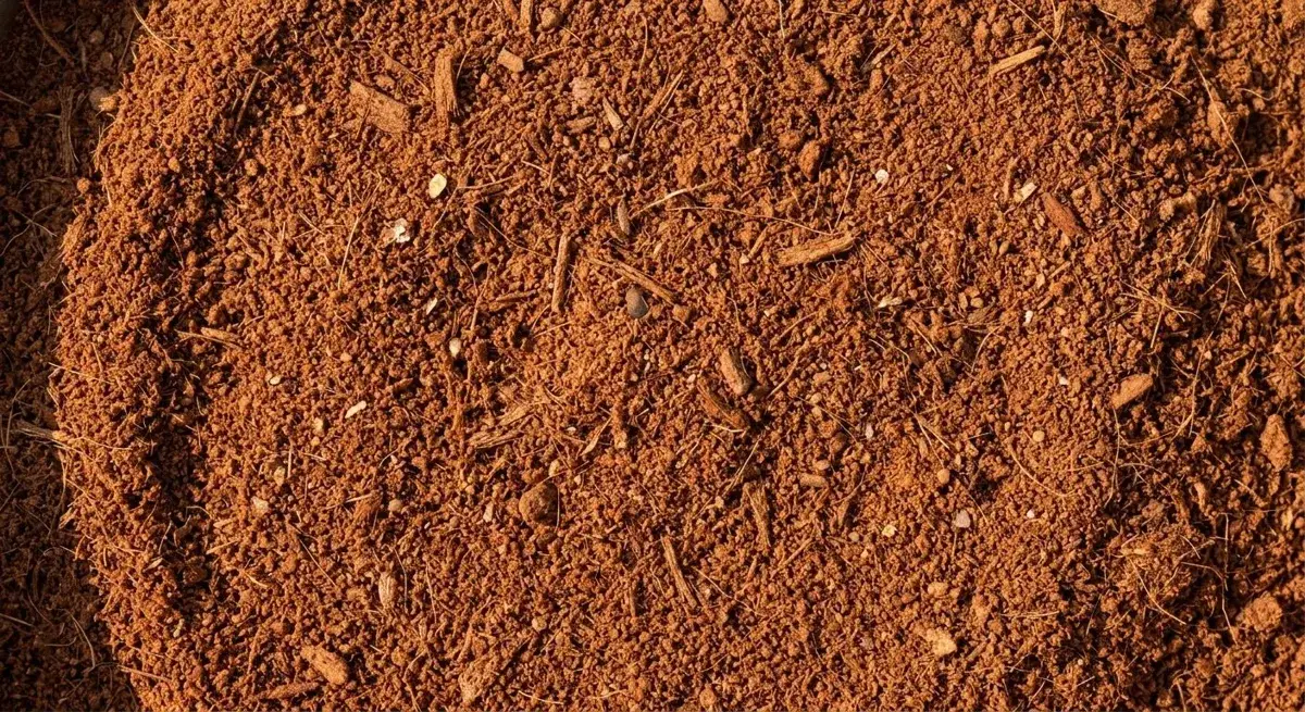 Misto de Coco direto do produtor | Fortaleza/CE em Fortaleza, CE — foto 3