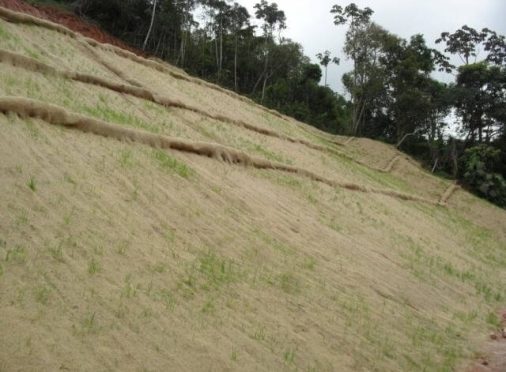 Biomanta de Fibra de Coco — NTC Brasil