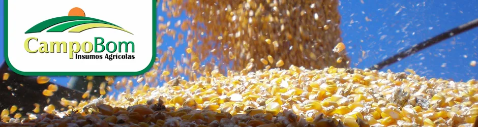 Rações e Alimentos para Animais de Estimação — AGROPECUARIA CAMPO BOM | PR