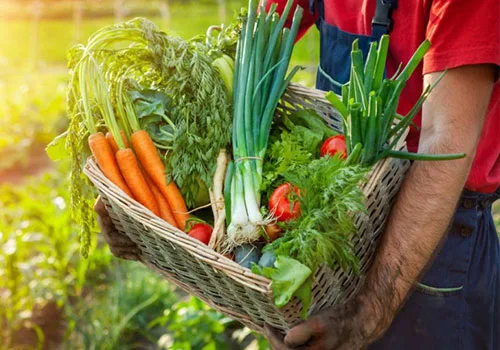 Rações e Alimentos para Animais de Estimação — BIOAGRO AGROPECUARIA | SP