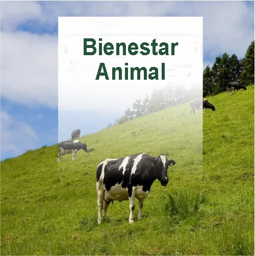 Sal Mineral e Defensivos Agropecuários — SUPERAGRO | União Da Vitória/PR em União da Vitória, PR